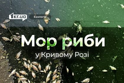 Сотни мертвых карасей и красноперки: в водоеме Кривого Рога произошел мор рыбы