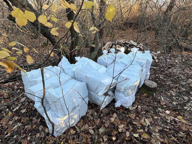 Поліція розслідує вирубку лісу біля Апостолівської громади на Криворіжжі