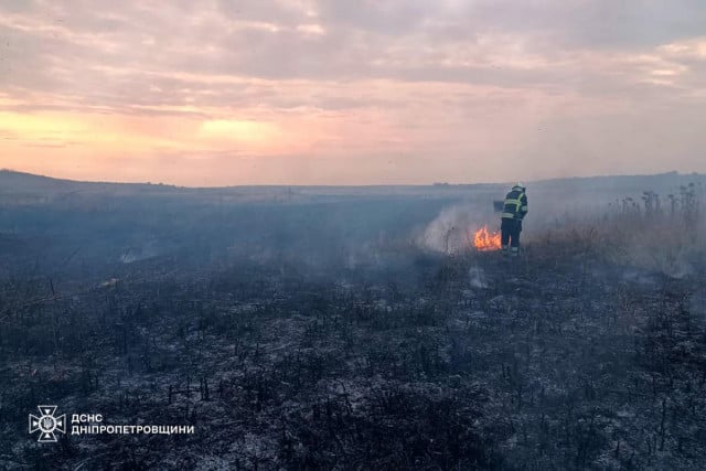 В 2024 году 74% пожаров на Криворожье произошли в экосистемах