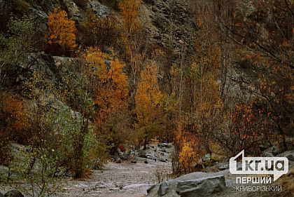 Погода в Кривом Роге на субботу 7 декабря на субботу