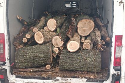 Патрульные обнаружили авто с древесиной без документов на Днепропетровщине