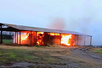 Пострадала 57-летняя женщина: оккупанты в очередной раз атаковали Никопольщину