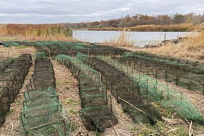 В ноябре на Днепропетровщине обнаружили 306 рыбаков-нарушителей
