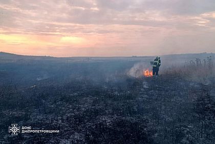 В 2024 году 74% пожаров на Криворожье произошли в экосистемах