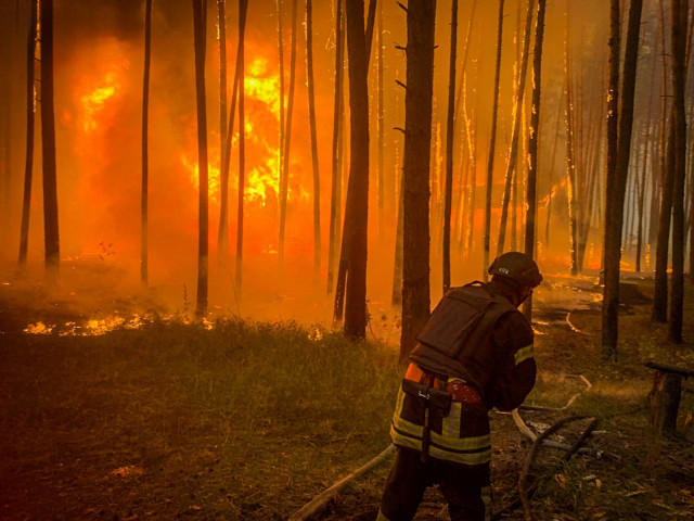 За цей рік в екосистемах України відбулося понад 15 тисяч загорань