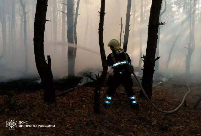 Горіли ліс, сміття та суха трава: минулої доби на Дніпропетровщині сталася 41 пожежа