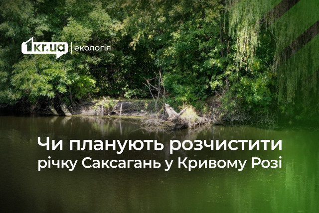 Почему реку Саксагань в Кривом Роге уже 6 лет не могут расчистить