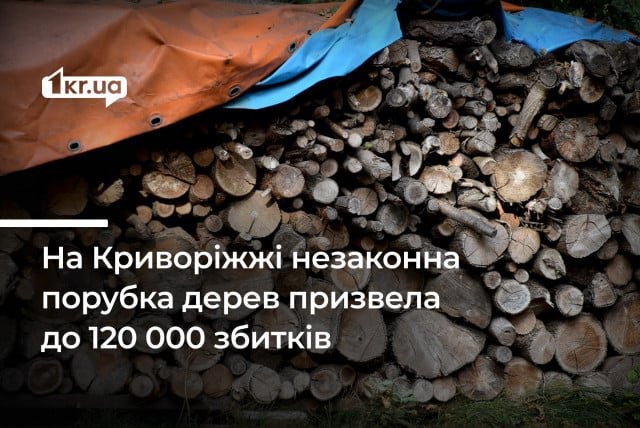 Незаконна вирубка лісу та більш ніж 120 000 гривень збитків: на Криворіжжі засудили підприємця
