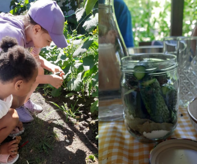Экоакция «Городской огород»: в парке Кривого Рога дети собирали первый урожай