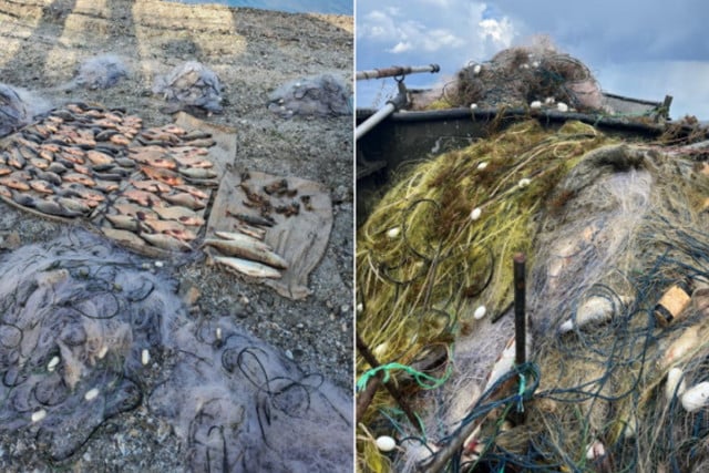 На Дніпропетровщині за 2 місяці виловили риби на 6,8 мільйонів гривень збитків