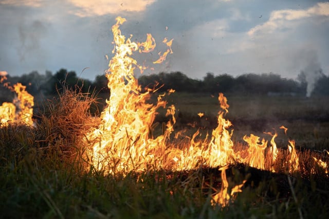 У кінці червня та на початку липня у Кривому Розі зберігається надзвичайна пожежна небезпека