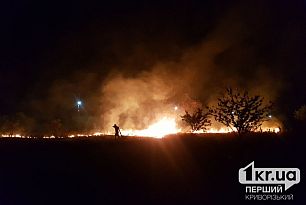 В начале июня в Кривом Роге сохраняется чрезвычайная пожарная опасность