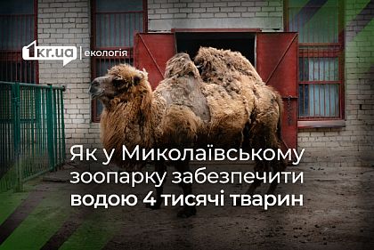 Как в Николаевском зоопарке решили вопрос отсутствия водоснабжения