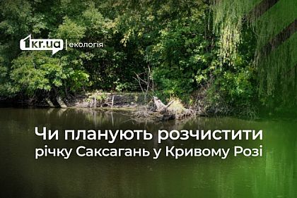Почему реку Саксагань в Кривом Роге уже 6 лет не могут расчистить