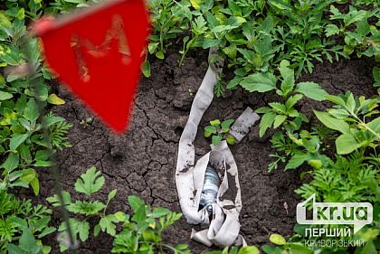 За прошедшую неделю на Криворожье уничтожили 54 взрывоопасных предмета