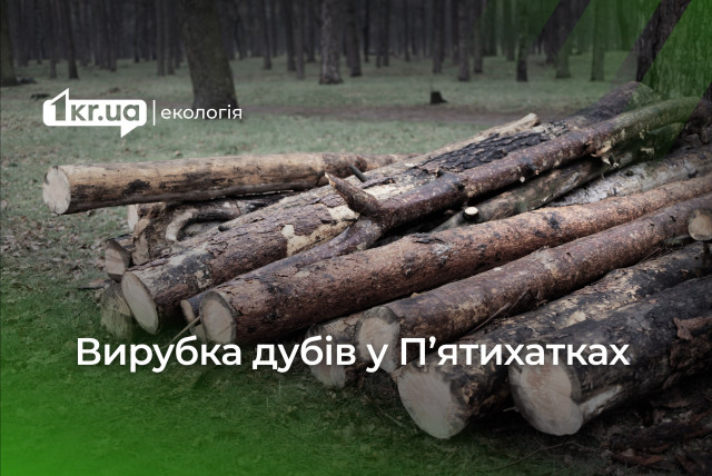 Дніпропетровщина знову серед лідерів за порушенням екозаконодавства