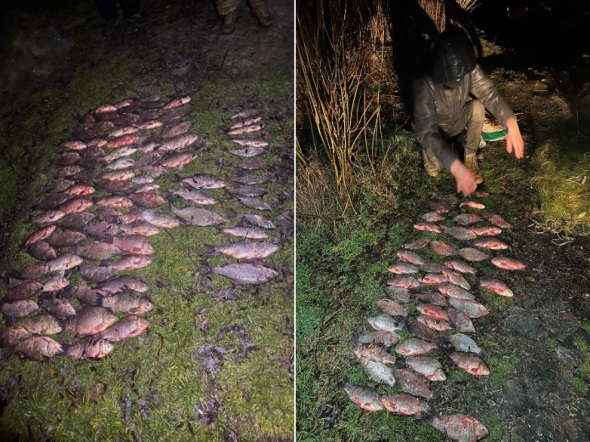 Более 220 тысяч гривен убытков за выходные: рыбпатрульные обнаружили нарушителей