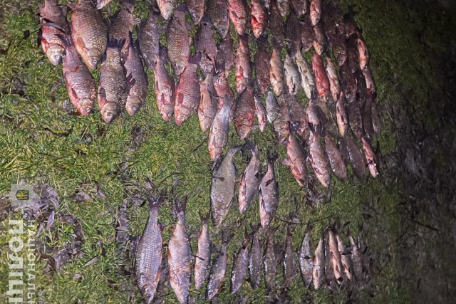 Выловил рыбы почти на 150 тысяч гривен: на Днепропетровщине задержали браконьера