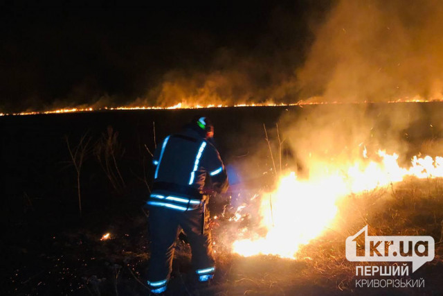 В Криворожском районе горела сухая трава рядом с жилыми домами