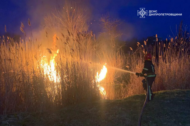 На Днепропетровщине в течение суток ликвидировали 60 пожаров в экосистемах