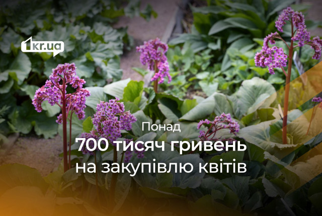 Более 700 тысяч гривен готовы потратить в Кривом Роге на закупку цветов