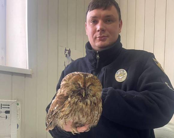 В Кривом Роге полицейский спас раненую сову