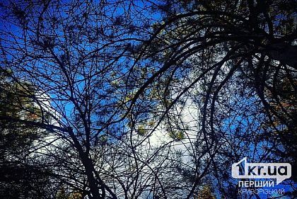 Существенное потепление: погода в Кривом Роге на неделю