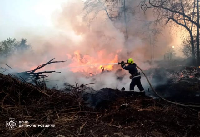 Горіли ліс, сміття та суха трава: минулої доби на Дніпропетровщині сталося 62 пожежі