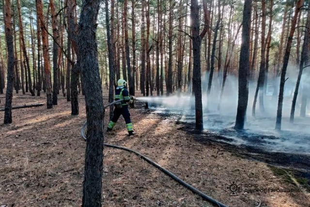 Ліс, сільгоспугіддя, суха трава та сміття: минулої доби на Дніпропетровщині сталося 69 пожеж