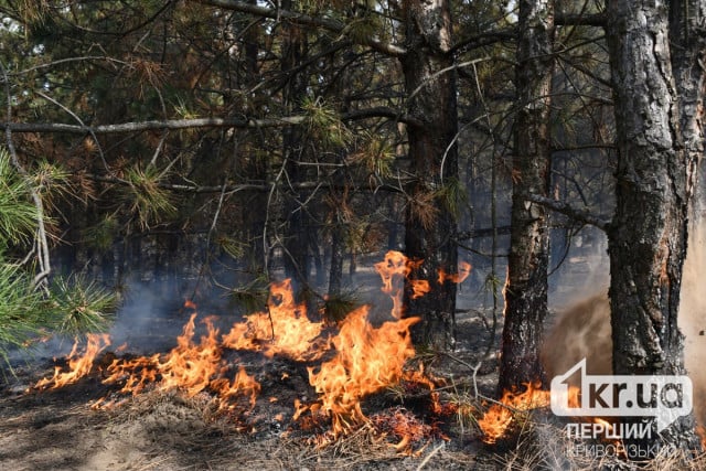 На Дніпропетровщині зберігається підвищена пожежна небезпека — ДСНС