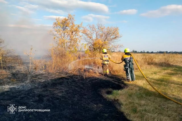 Горели леса и сельхозугодья: сколько пожаров произошло в экосистемах Днепропетровщины за сутки