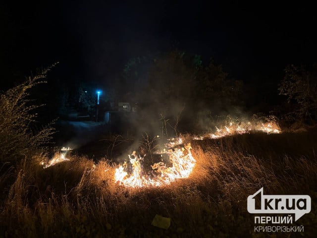 6 октября в Кривом Роге горела сухая трава