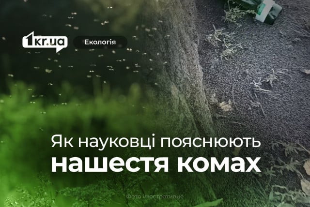 Чому нашестя мошок у Мар`янському та Нікополі — не аномалія