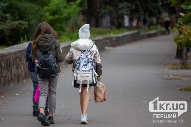 Скільки освітніх закладів функціонують у Кривому Розі