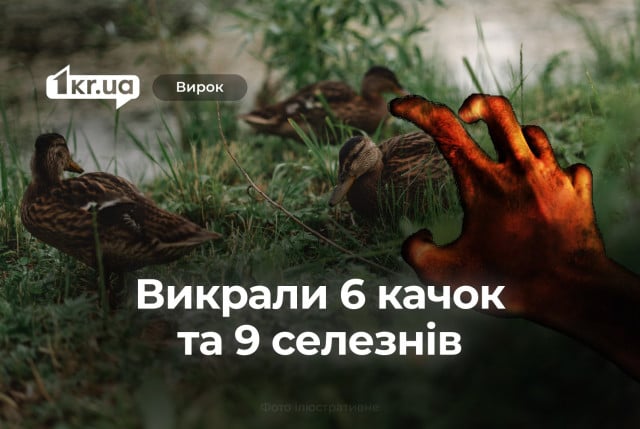 У Кривому Розі засудили двох чоловіків, що викрали 6 качок та 9 селезнів мускусної породи