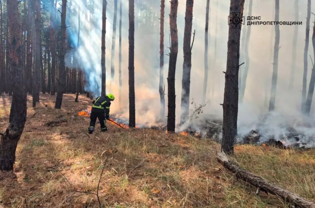 За добу на Дніпропетровщині загасили 33 пожежі в екосистемах