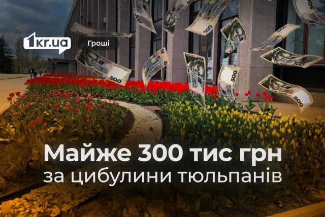 Тюльпани для Кривого Рогу: місто витратить майже 300 тисяч гривень на цибулини