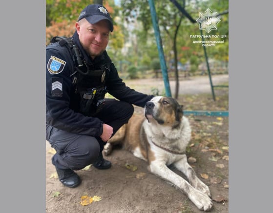 У Дніпрі небайдужий містянин та поліція допомогли розшукати власника загубленого собаки