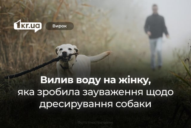 Суд покарав криворіжця, який відреагував агресією на зауваження щодо дресирування собаки