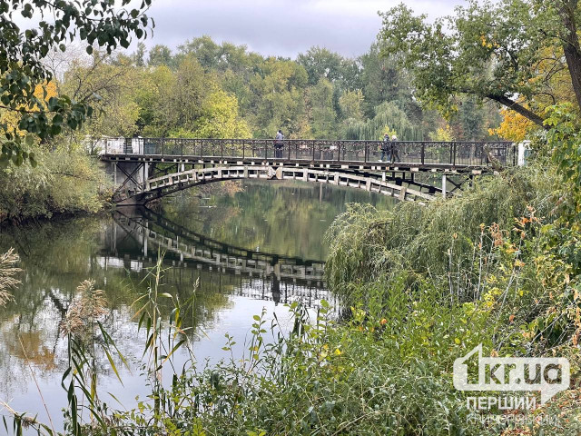 Погода у Кривому Розі на 24 жовтня