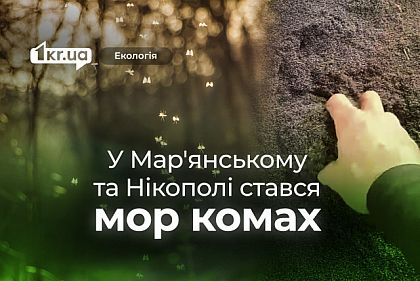 Мошки заполонили все навколо: у Мар`янському та Нікополі стався мор комах