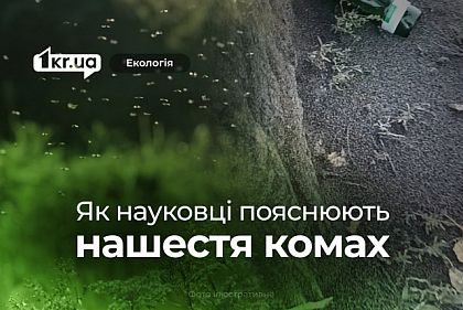 Чому нашестя мошок у Мар`янському та Нікополі — не аномалія