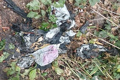 Что находят работники Кривбассводоканала в канализационных сетях