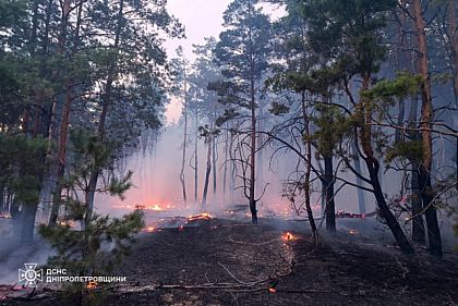 В Кривом Роге пожарная опасность продлится до 25 октября