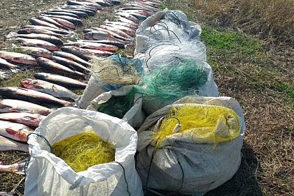 На Криворожье нарушители наловили более 1 тонны рыбы на почти 1,3 миллиона гривен убытков