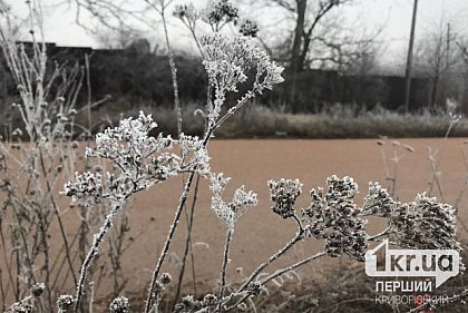 Чи очікувати криворіжцям заморозки наступного тижня