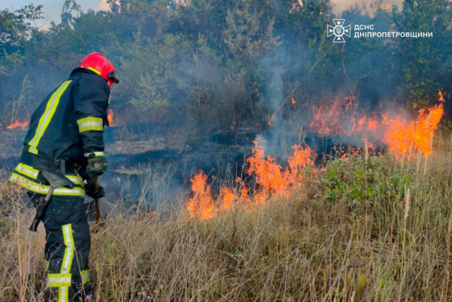 Минулої доби на Дніпропетровщині горіло 73 гектари території