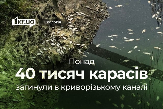 45 тисяч загиблих карасів: чому екологи пов`язують це з війною