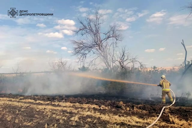 За сутки на Днепропетровщине произошло 35 возгораний в экосистемах