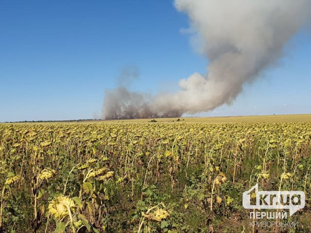 На Криворіжжі горить суха трава